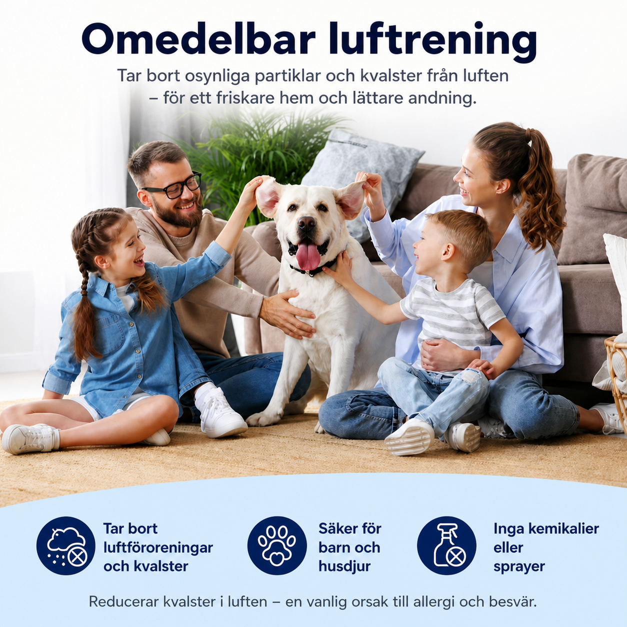 AllerClean™ -  Eliminerar Dammkvalster Från Ditt Hem På 30 Minuter